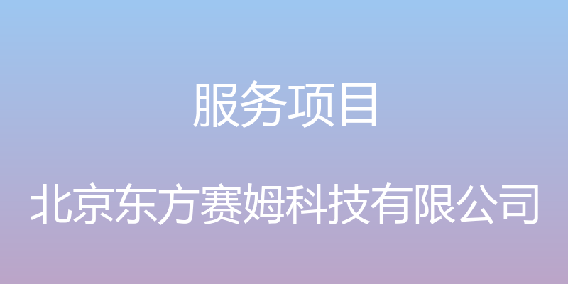 服务项目 - 北京东方赛姆科技有限公司